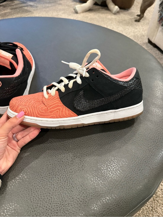 Nike SB Dunk Low Premier Fish Ladder size 12 main image 5